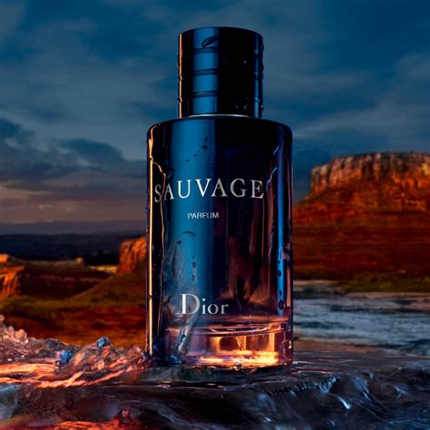 dior sauvage aosta vallacqua|sauvage perfume dior.